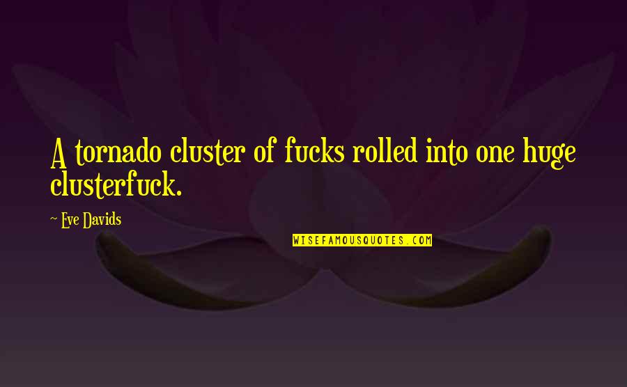 Cluster Quotes By Eve Davids: A tornado cluster of fucks rolled into one