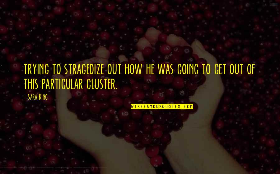 Cluster Quotes By Sara King: trying to stragedize out how he was going