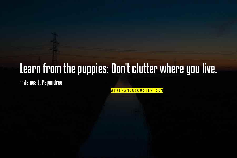 Clutter Quotes By James L. Papandrea: Learn from the puppies: Don't clutter where you