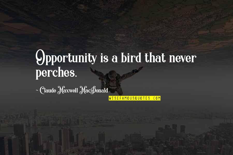 Clyde Bruckman Quotes By Claude Maxwell MacDonald: Opportunity is a bird that never perches.