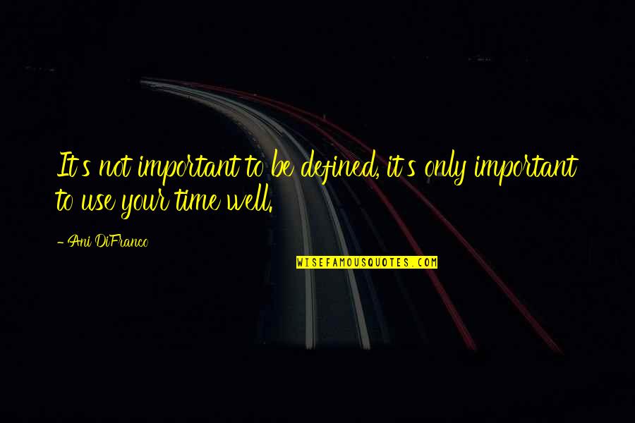 Clyde Oberholt Quotes By Ani DiFranco: It's not important to be defined, it's only