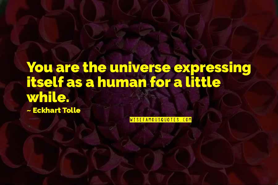 Clydesdale Quotes By Eckhart Tolle: You are the universe expressing itself as a