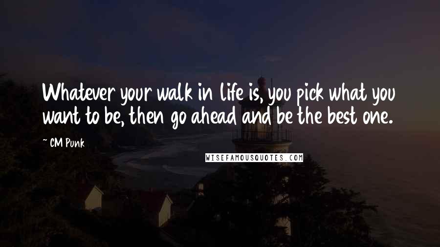 CM Punk quotes: Whatever your walk in life is, you pick what you want to be, then go ahead and be the best one.