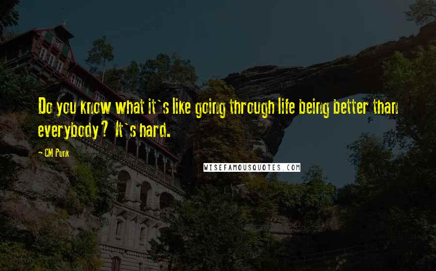 CM Punk quotes: Do you know what it's like going through life being better than everybody? It's hard.