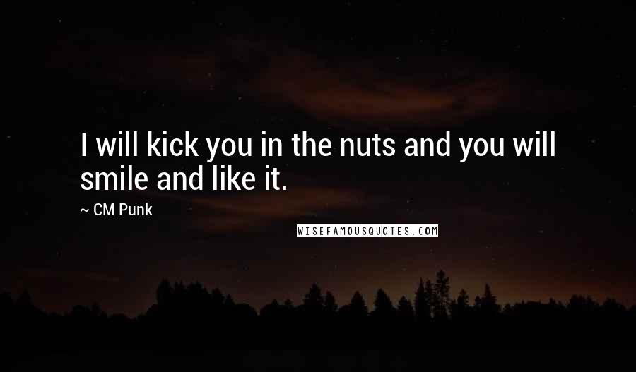 CM Punk quotes: I will kick you in the nuts and you will smile and like it.