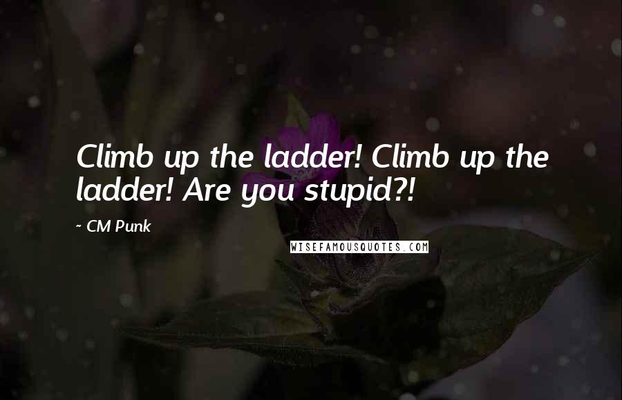 CM Punk quotes: Climb up the ladder! Climb up the ladder! Are you stupid?!