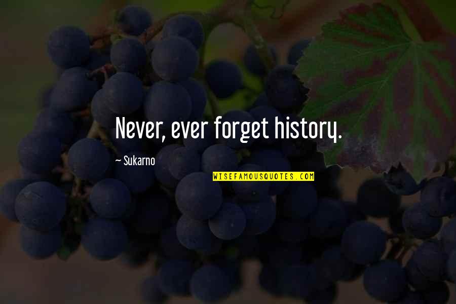 Cme Ng Quotes By Sukarno: Never, ever forget history.