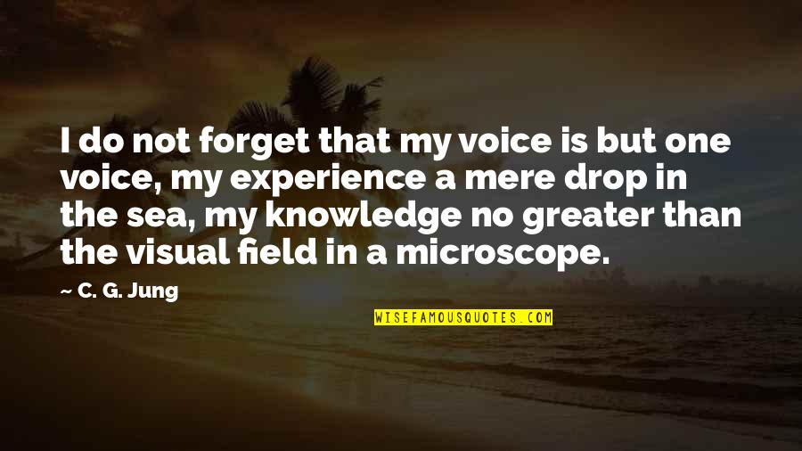 C'mere Quotes By C. G. Jung: I do not forget that my voice is