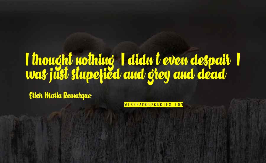 Cnckgr Quotes By Erich Maria Remarque: I thought nothing; I didn't even despair; I