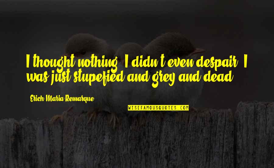 Cnckgr Quotes By Erich Maria Remarque: I thought nothing; I didn't even despair; I Cnckgr Quotes By Erich Maria Remarque: I thought nothing; I didn't even despair; I