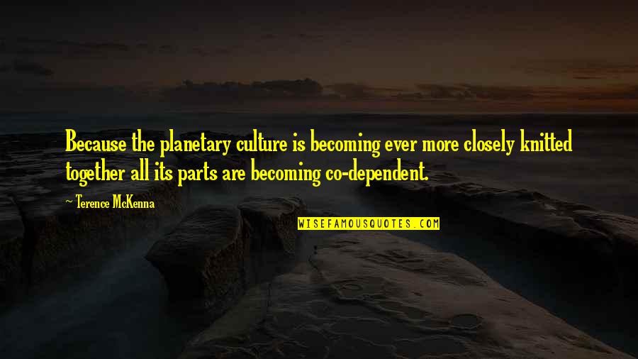 Co-optitude Quotes By Terence McKenna: Because the planetary culture is becoming ever more