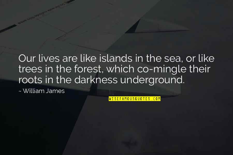 Co-optitude Quotes By William James: Our lives are like islands in the sea,