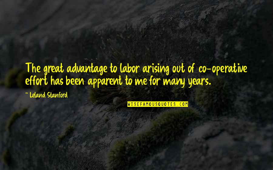 Co Quotes By Leland Stanford: The great advantage to labor arising out of