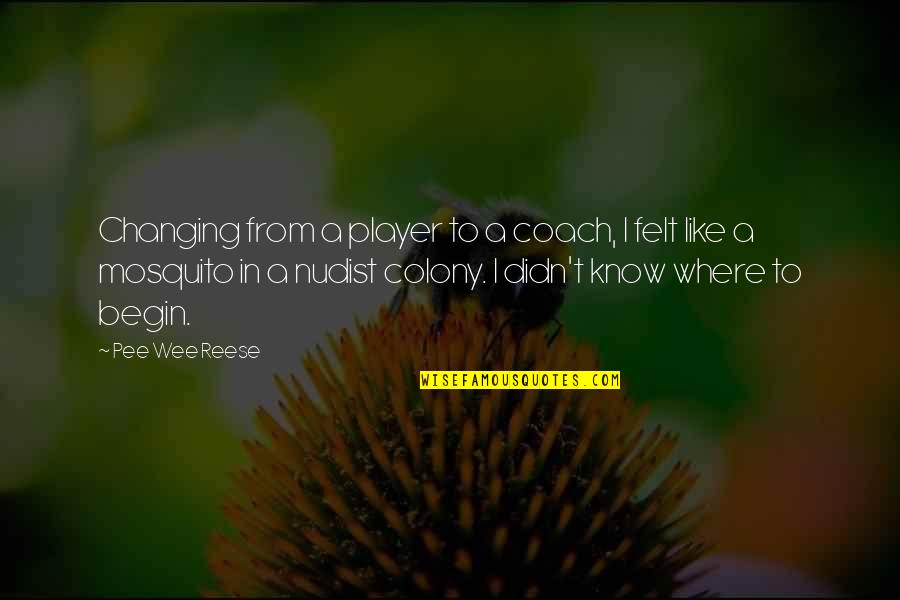 Coach And Player Quotes By Pee Wee Reese: Changing from a player to a coach, I