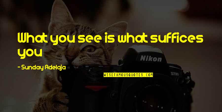 Coach Appreciation Quotes By Sunday Adelaja: What you see is what suffices you