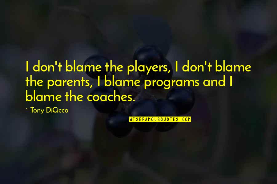 Coaches And Players Quotes By Tony DiCicco: I don't blame the players, I don't blame