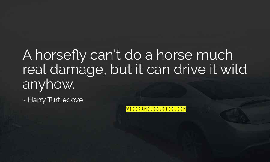 Coaching In The Workplace Quotes By Harry Turtledove: A horsefly can't do a horse much real