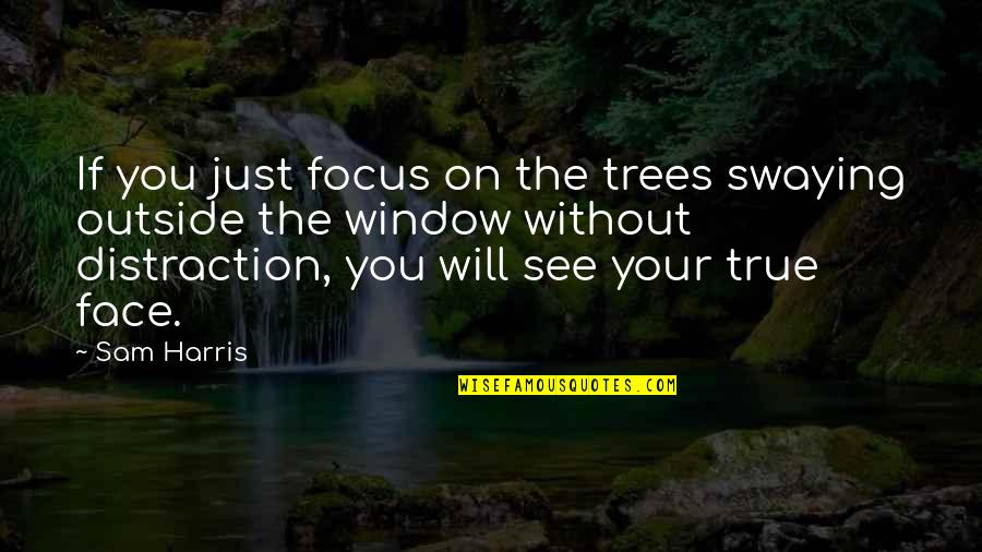Coagulating Foam Quotes By Sam Harris: If you just focus on the trees swaying
