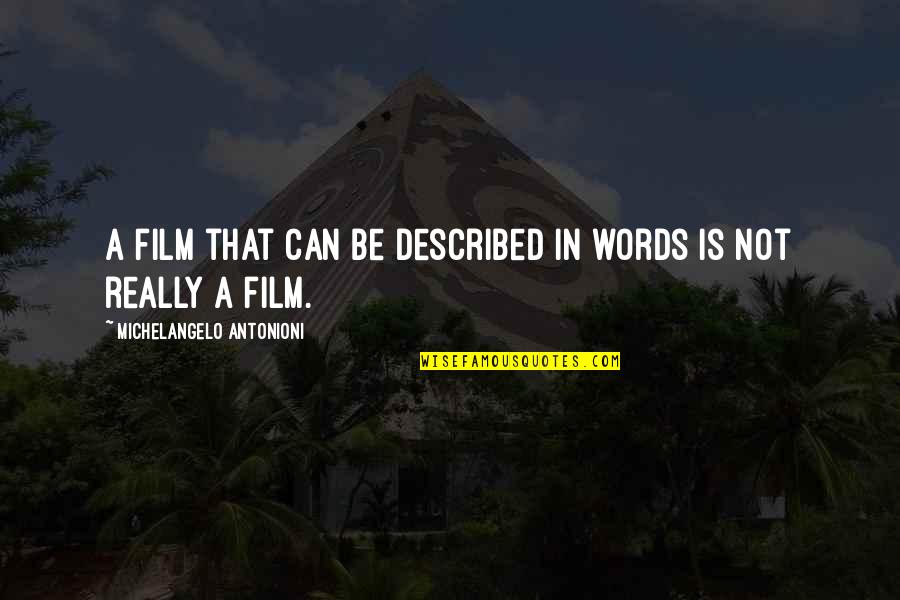 Coagulum Pyelolithotomy Quotes By Michelangelo Antonioni: A film that can be described in words