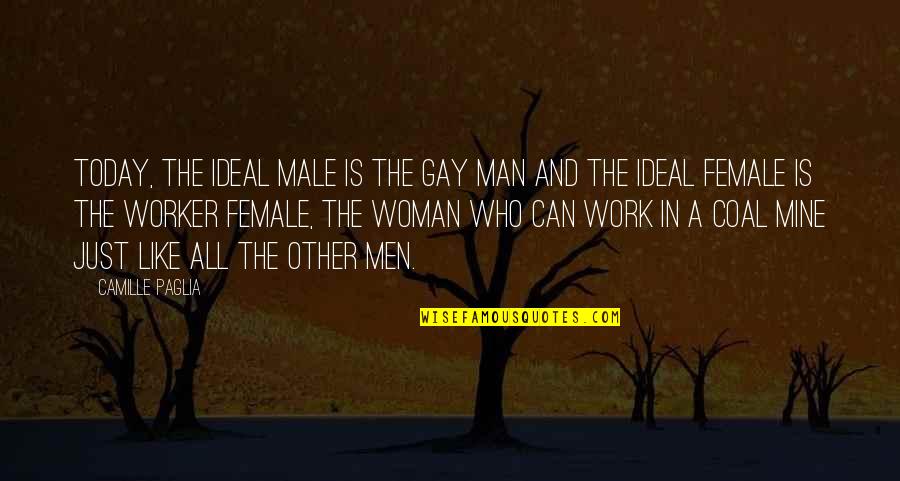 Coal Quotes By Camille Paglia: Today, the ideal male is the gay man