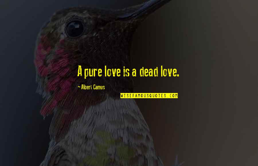 Coalescence Theory Quotes By Albert Camus: A pure love is a dead love.