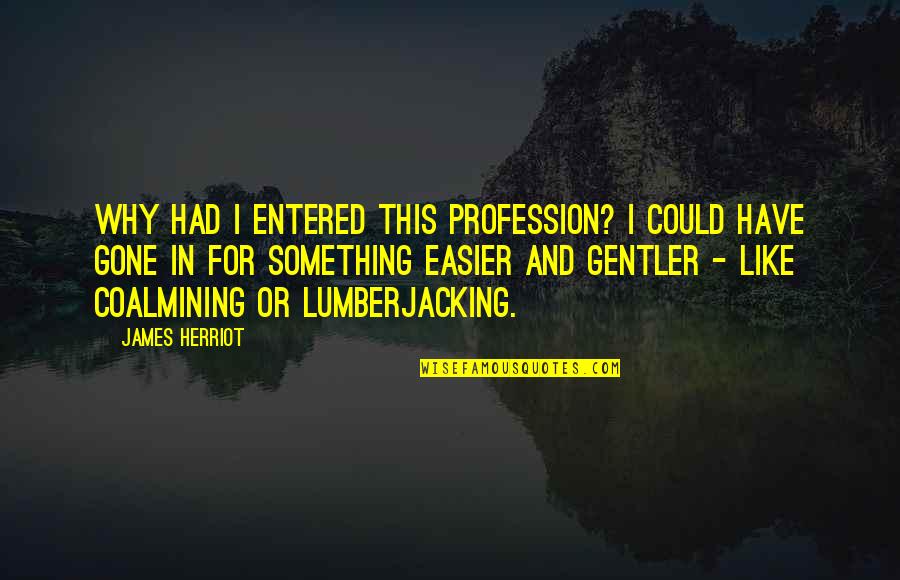 Coalmining Quotes By James Herriot: Why had I entered this profession? I could