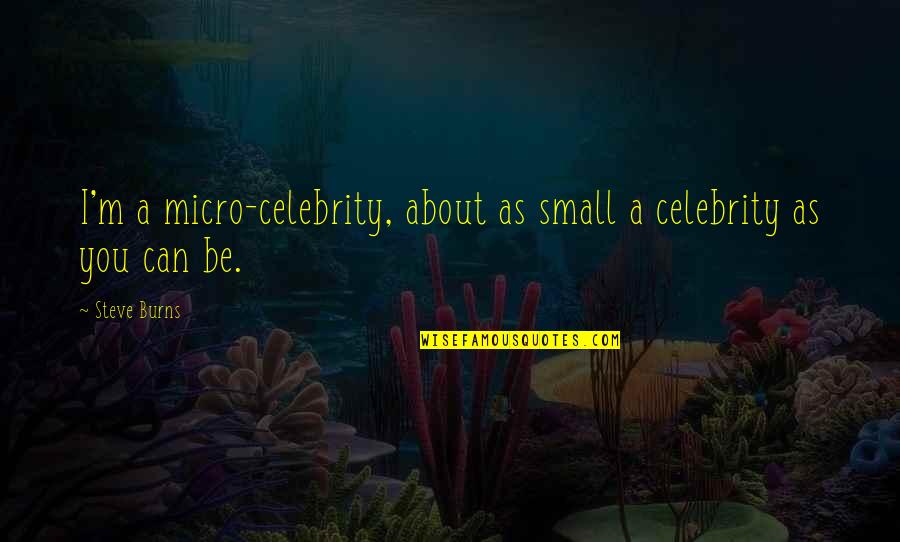Coalmining Quotes By Steve Burns: I'm a micro-celebrity, about as small a celebrity