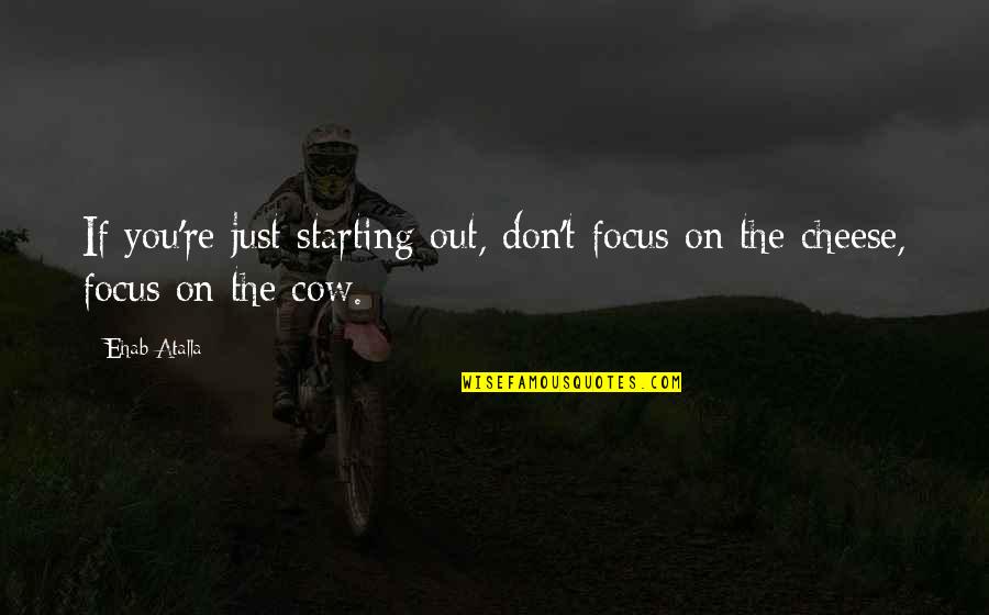 Coalpit Hollow Quotes By Ehab Atalla: If you're just starting out, don't focus on