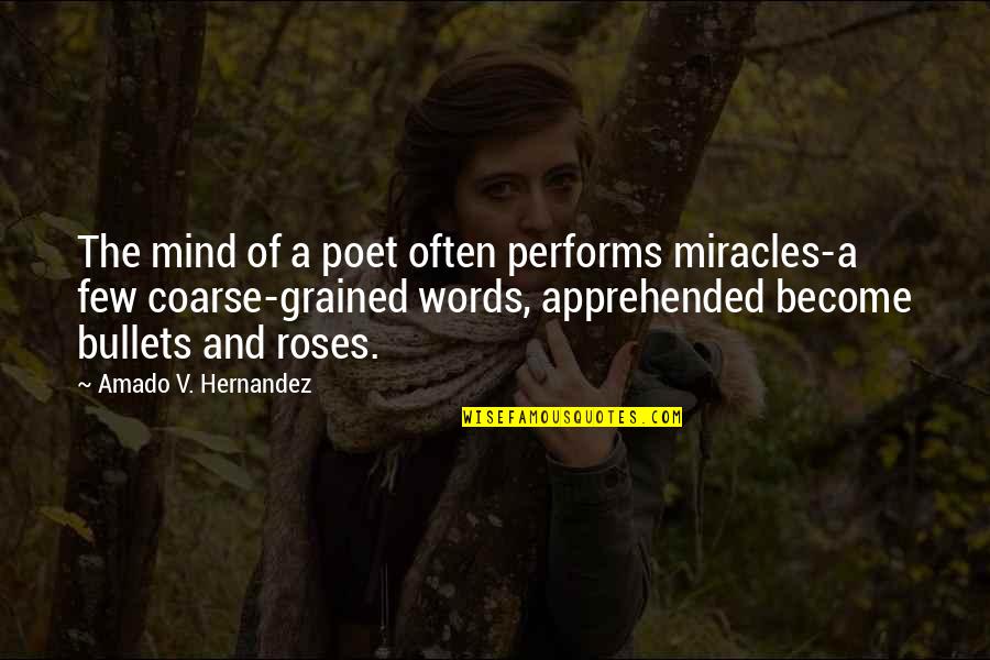 Coarse Quotes By Amado V. Hernandez: The mind of a poet often performs miracles-a