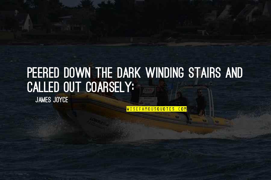 Coarsely Quotes By James Joyce: Peered down the dark winding stairs and called