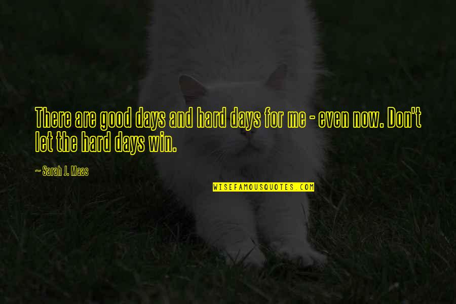 Coastline Academy Quotes By Sarah J. Maas: There are good days and hard days for