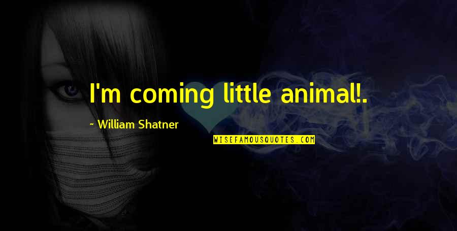 Cobayes A Vendre Quotes By William Shatner: I'm coming little animal!.