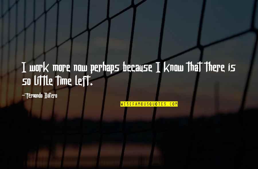 Cobi A Quotes By Fernando Botero: I work more now perhaps because I know