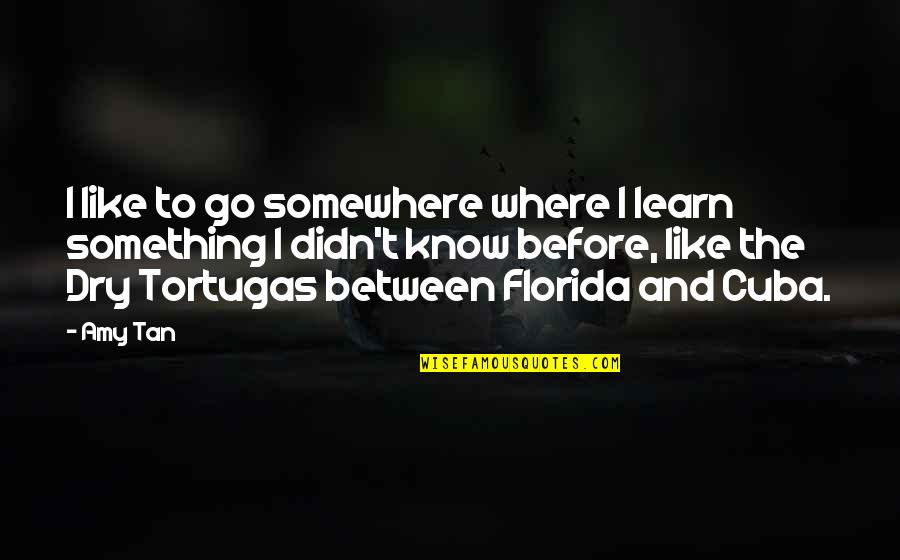 Cocinero En Quotes By Amy Tan: I like to go somewhere where I learn