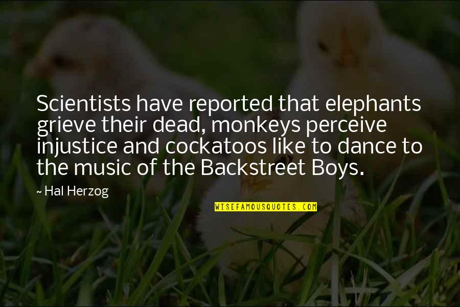 Cockatoos Quotes By Hal Herzog: Scientists have reported that elephants grieve their dead,