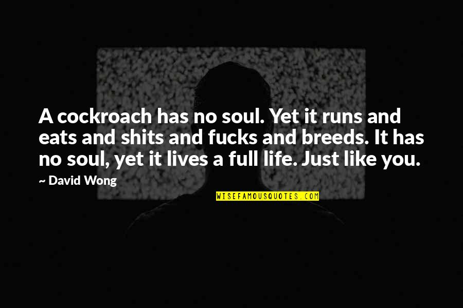 Cockroach Quotes By David Wong: A cockroach has no soul. Yet it runs