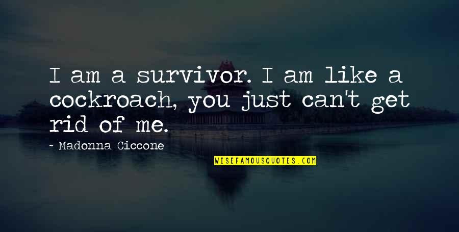 Cockroaches Quotes By Madonna Ciccone: I am a survivor. I am like a