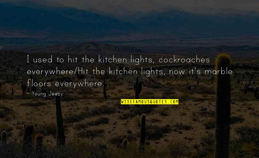 Cockroaches Quotes By Young Jeezy: I used to hit the kitchen lights, cockroaches