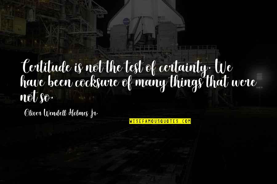Cocksure Quotes By Oliver Wendell Holmes Jr.: Certitude is not the test of certainty. We