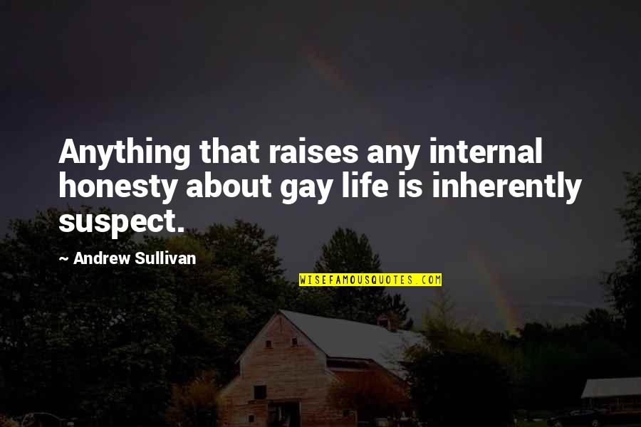 Cocktail Napkins With Funny Quotes By Andrew Sullivan: Anything that raises any internal honesty about gay