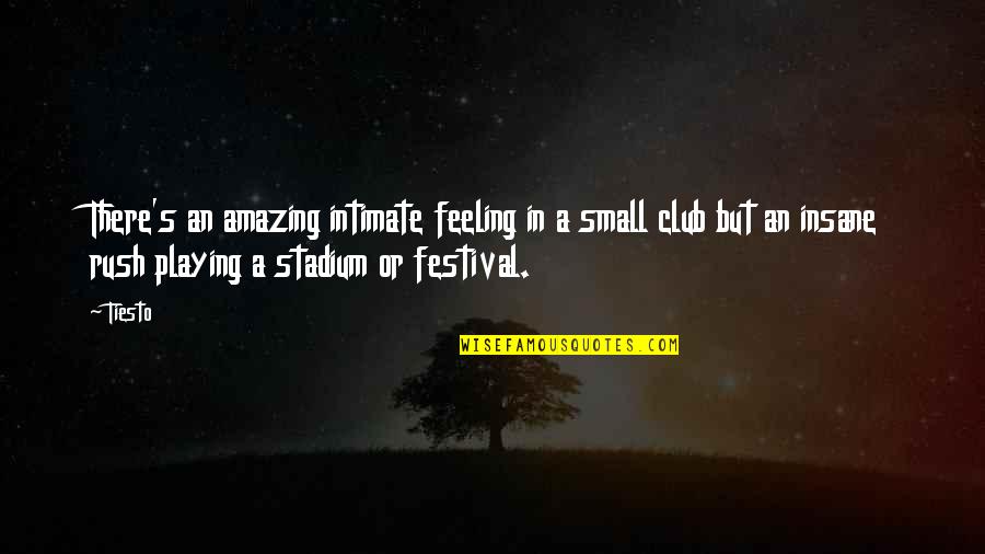 Cocky Spanish Quotes By Tiesto: There's an amazing intimate feeling in a small