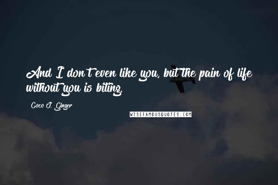 Coco J. Ginger quotes: And I don't even like you, but the pain of life without you is biting.