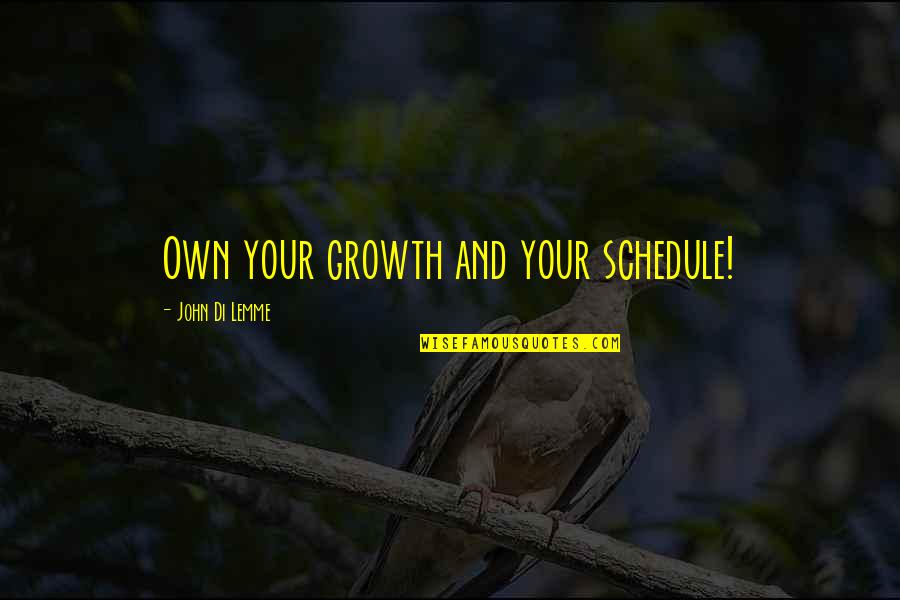 Cocoshe Quotes By John Di Lemme: Own your growth and your schedule!