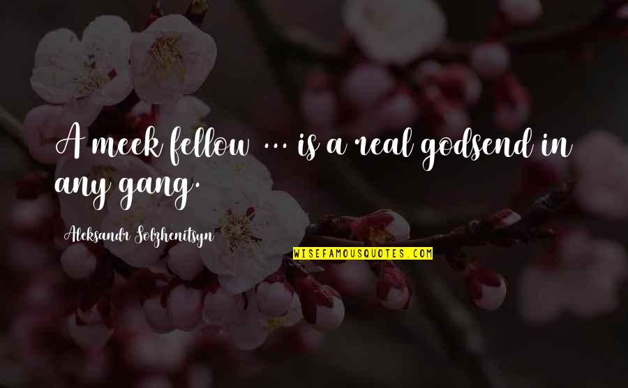 Cocotte Minute Quotes By Aleksandr Solzhenitsyn: A meek fellow ... is a real godsend Cocotte Minute Quotes By Aleksandr Solzhenitsyn: A meek fellow ... is a real godsend