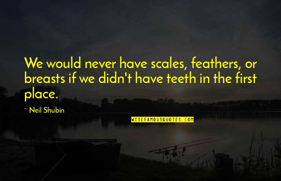 Codicioso En Quotes By Neil Shubin: We would never have scales, feathers, or breasts