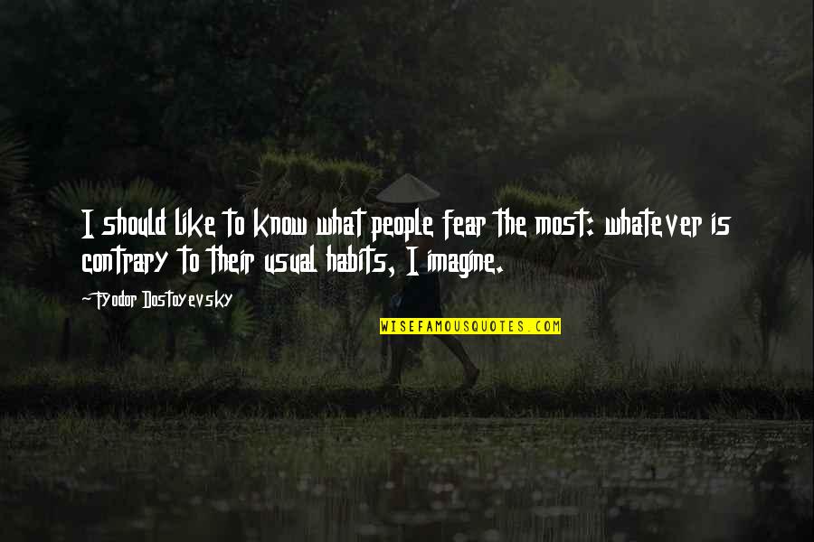 Coelenterata Quotes By Fyodor Dostoyevsky: I should like to know what people fear