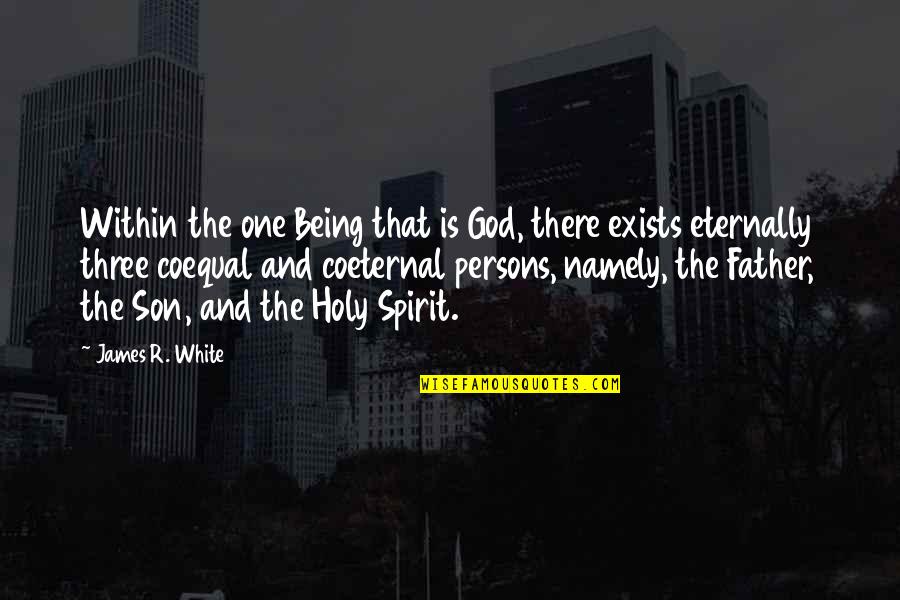 Coeternal Father Quotes By James R. White: Within the one Being that is God, there