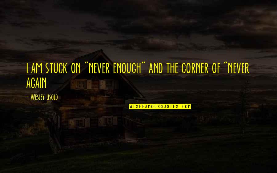 Coevolving Quotes By Wesley Eisold: i am stuck on "never enough" and the