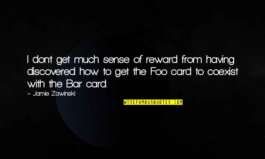 Coexist Quotes By Jamie Zawinski: I don't get much sense of reward from