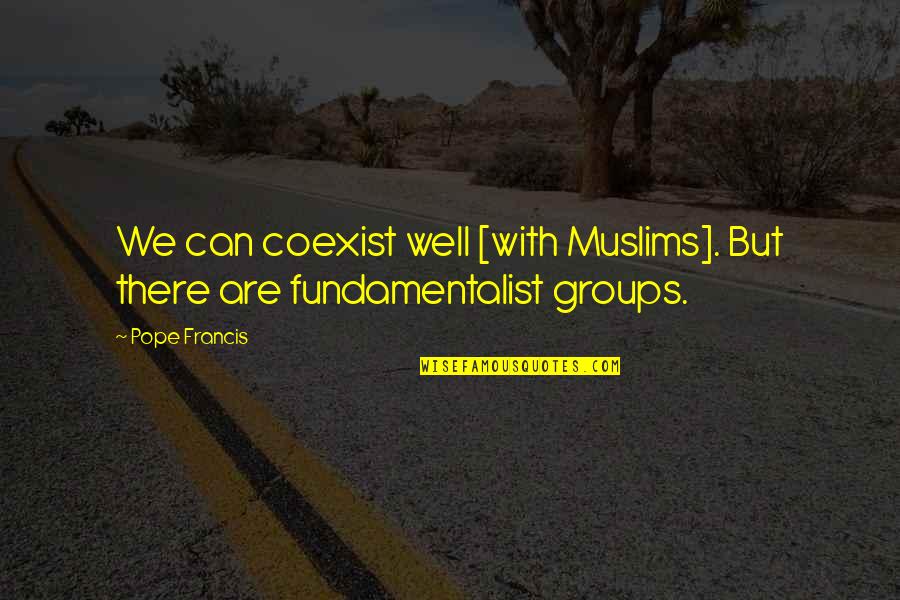 Coexist Quotes By Pope Francis: We can coexist well [with Muslims]. But there